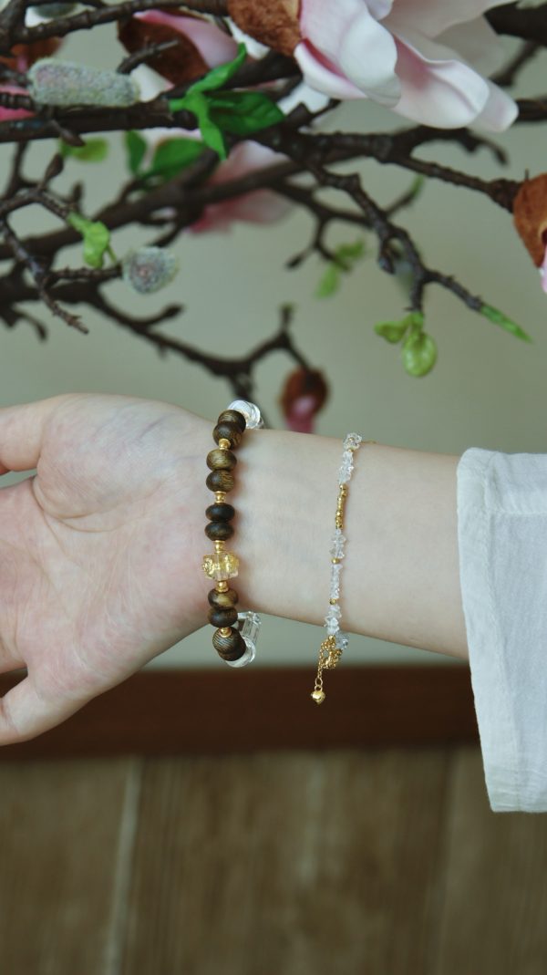 wsxc1762269478180_2 wsxc1762269478180_2