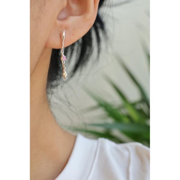 wsxc1762272844145_19