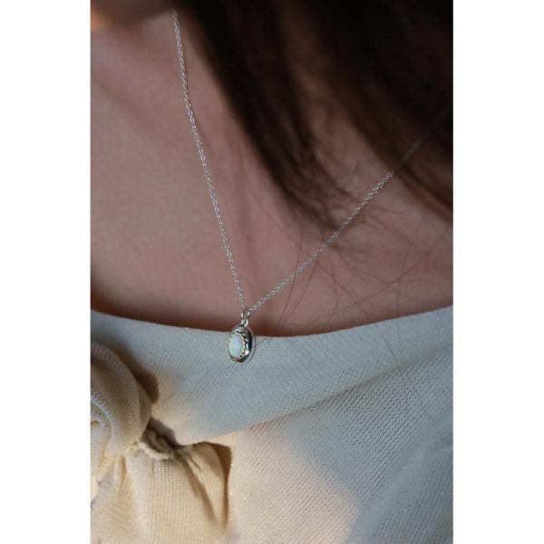 wsxc1762279449646_10